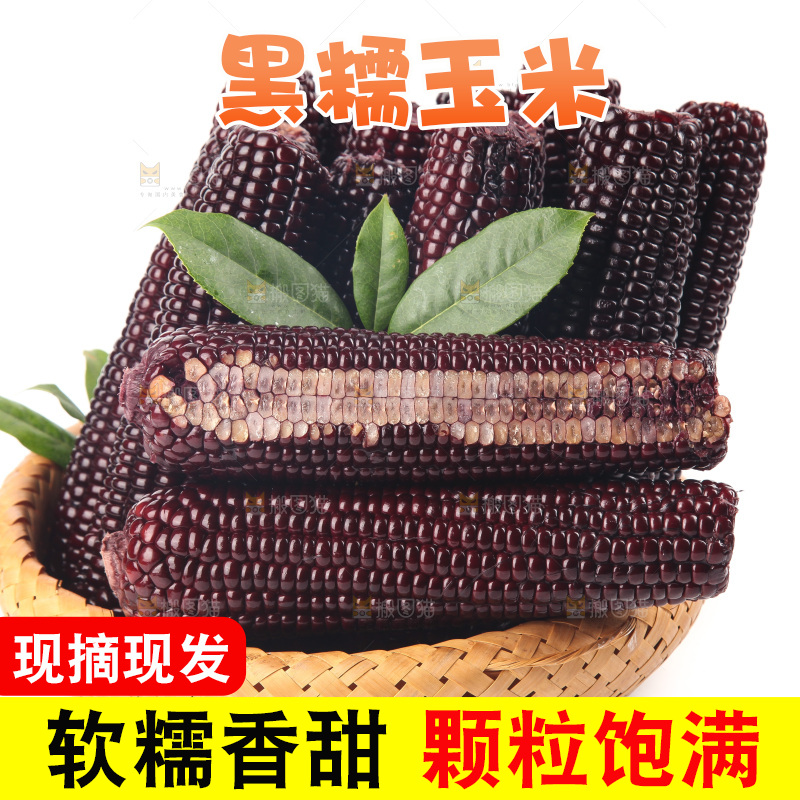 白底上的黑糯玉米