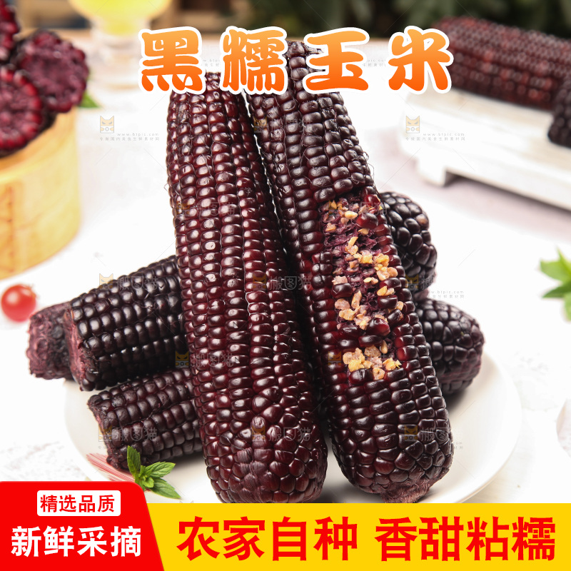 浅底上的黑糯玉米