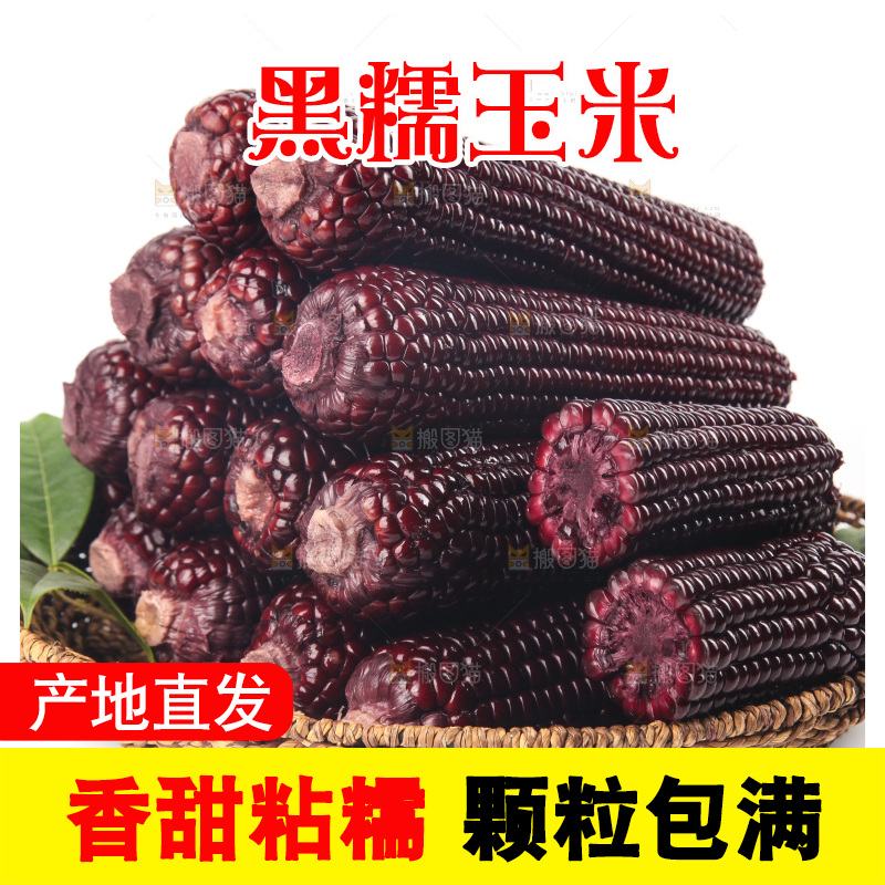 白底上的黑糯玉米