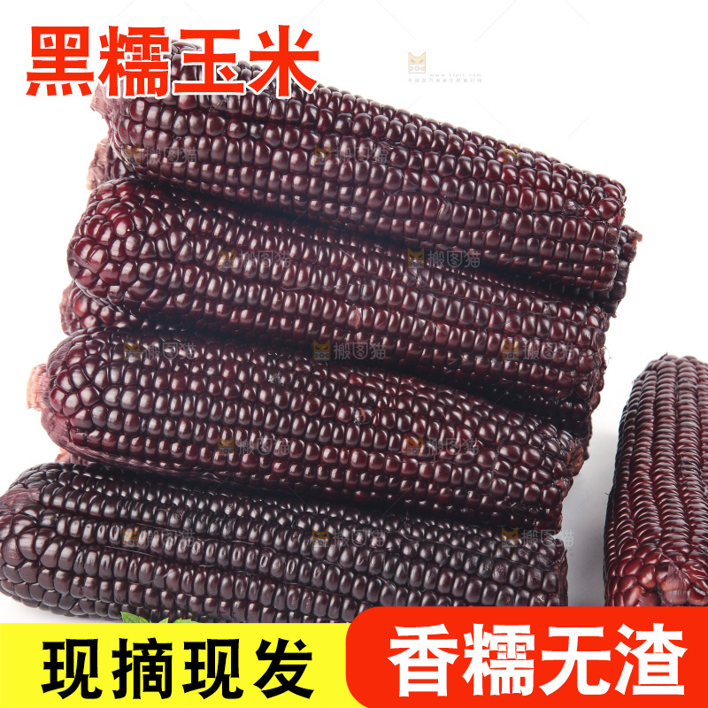 白底上的黑糯玉米