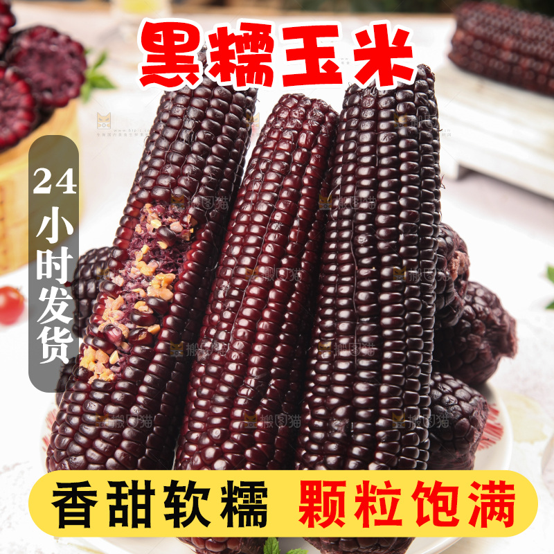 浅底上的黑糯玉米
