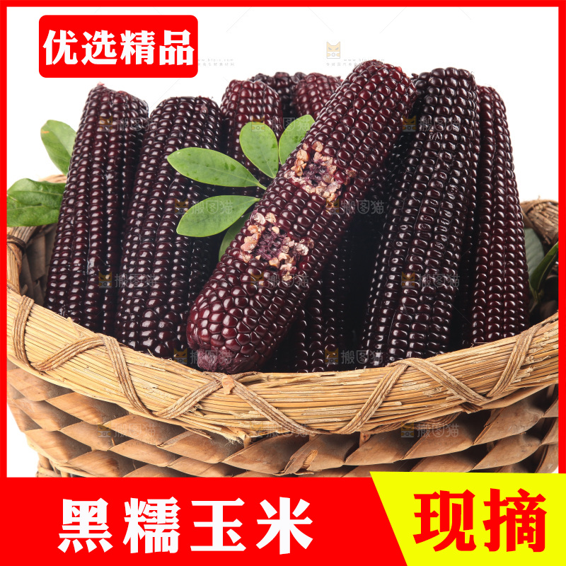 白底上的黑糯玉米