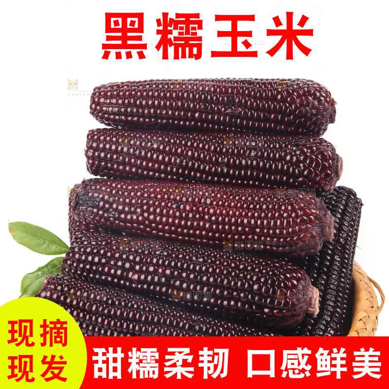 白底上的黑糯玉米