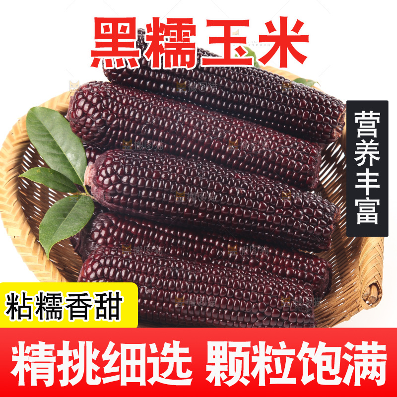 白底上的黑糯玉米