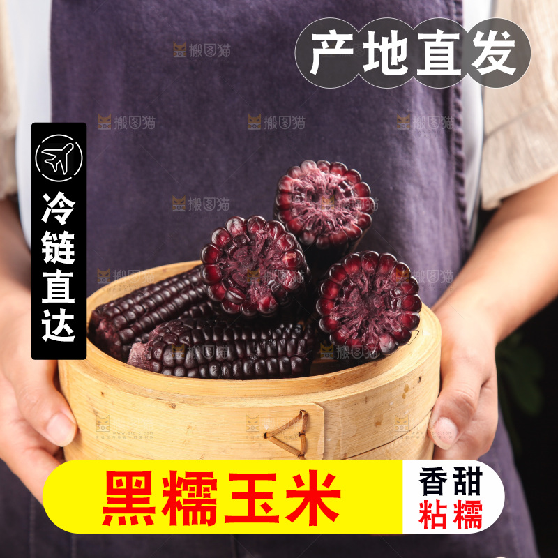 浅底上的黑糯玉米