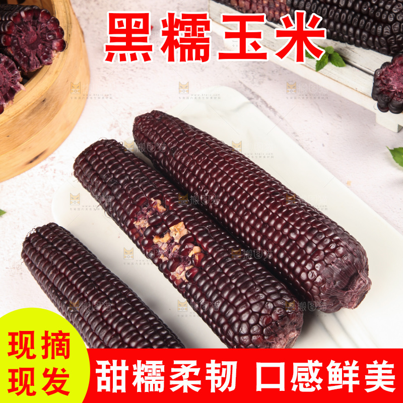 浅底上的黑糯玉米