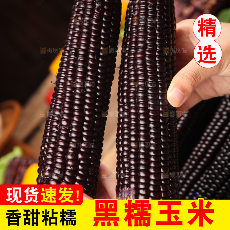 木底上的黑糯玉米