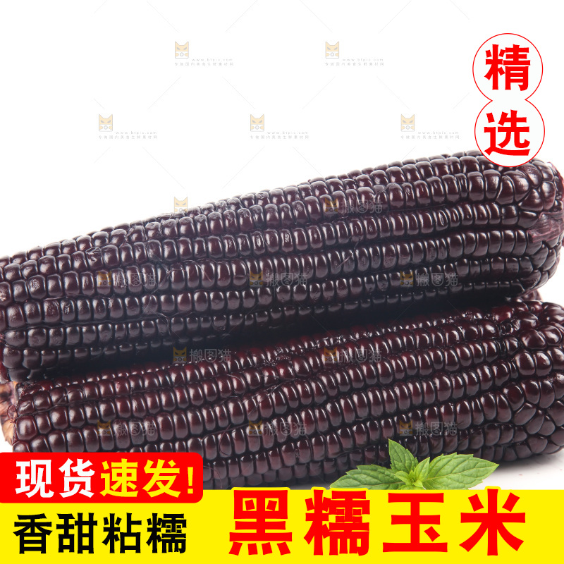 白底上的黑糯玉米