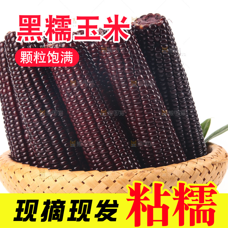 白底上的黑糯玉米