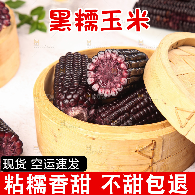 浅底上的黑糯玉米
