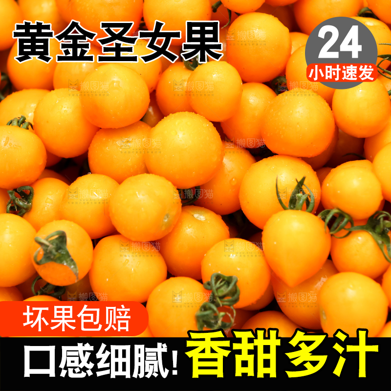 大片黄金圣女果