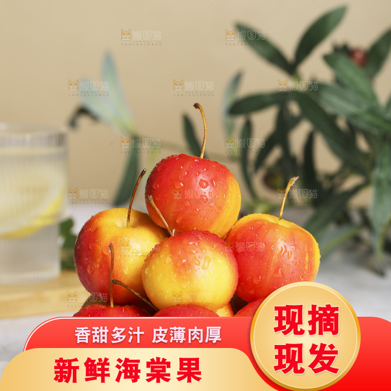 浅底上的海棠果