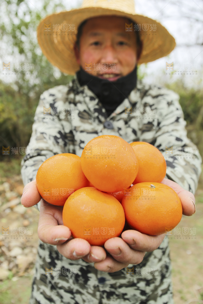 手里拿着沃柑