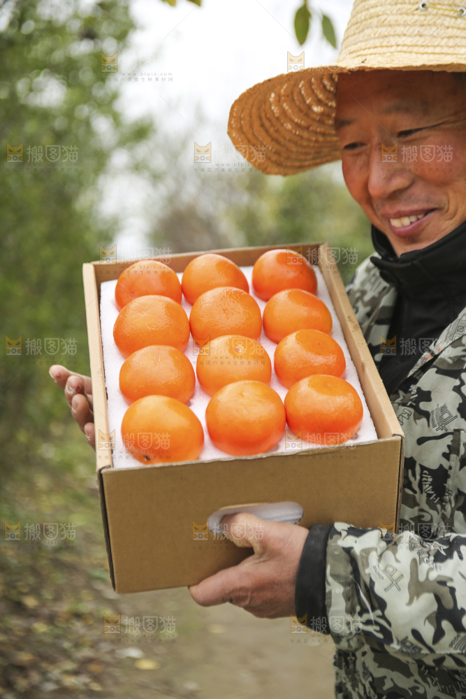 手里拿着沃柑