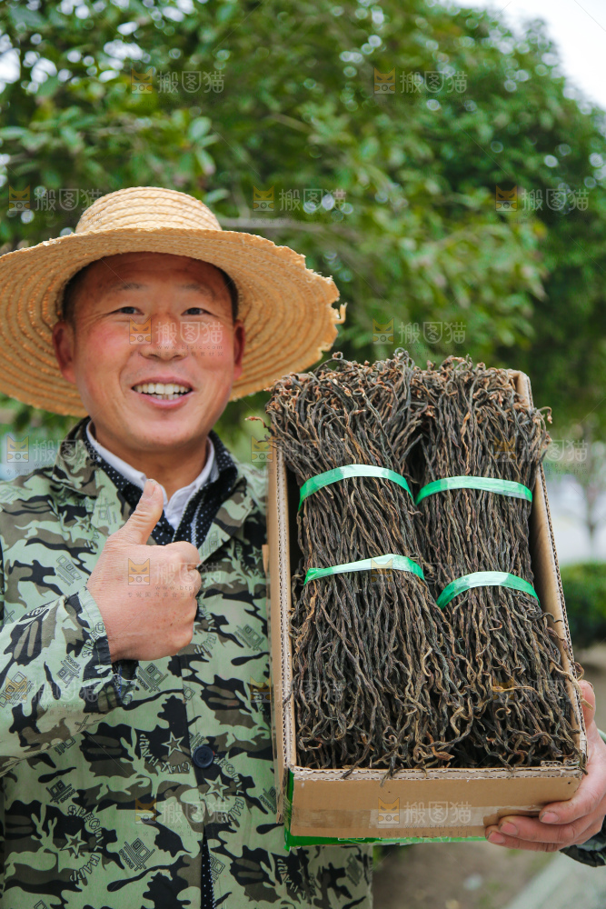 手里拿着干豆角