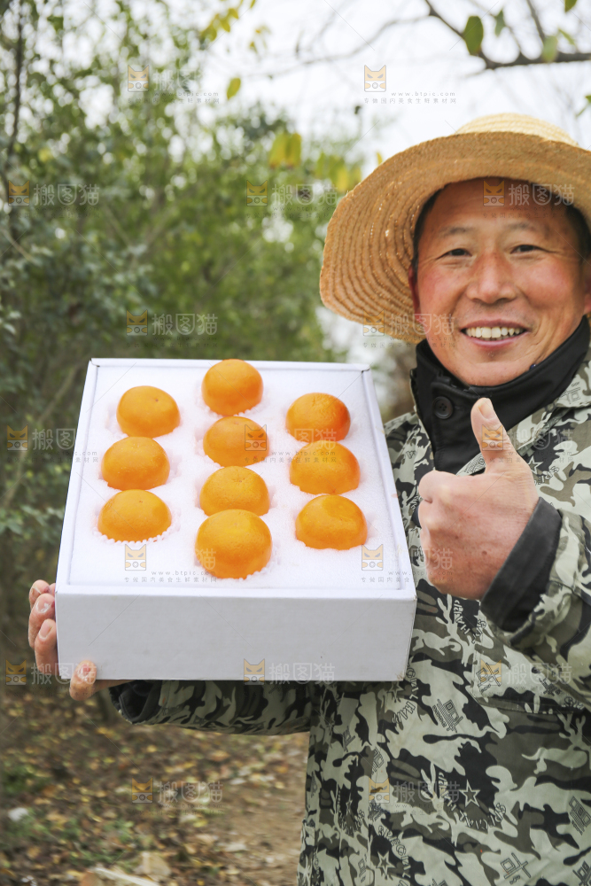 手里拿着沃柑