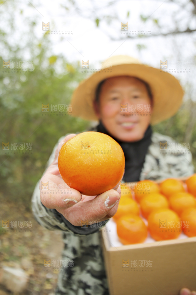 手里拿着沃柑