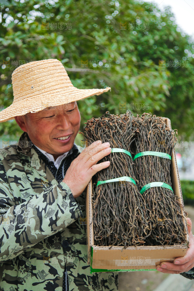 手里拿着干豆角