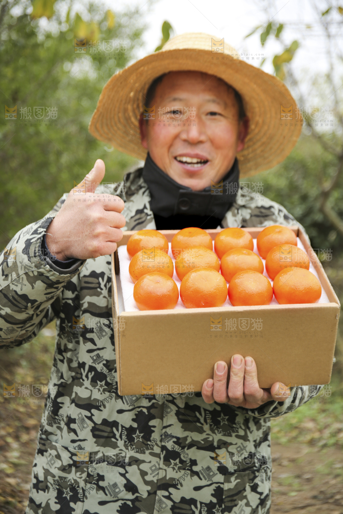 沃柑