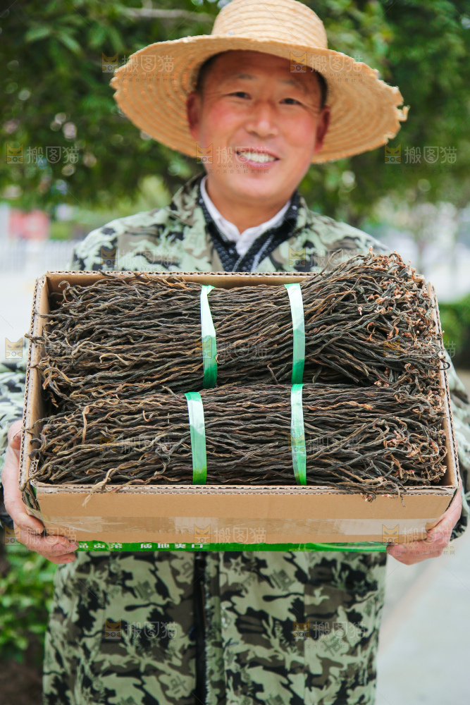 手里拿着干豆角