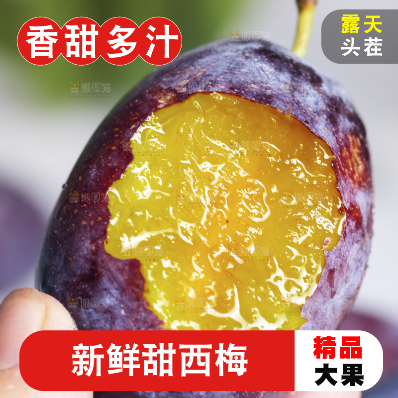 浅底上的西梅