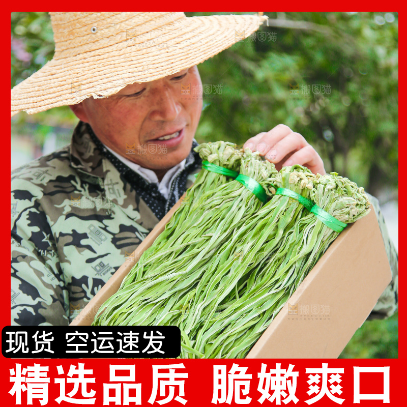 手里拿着贡菜