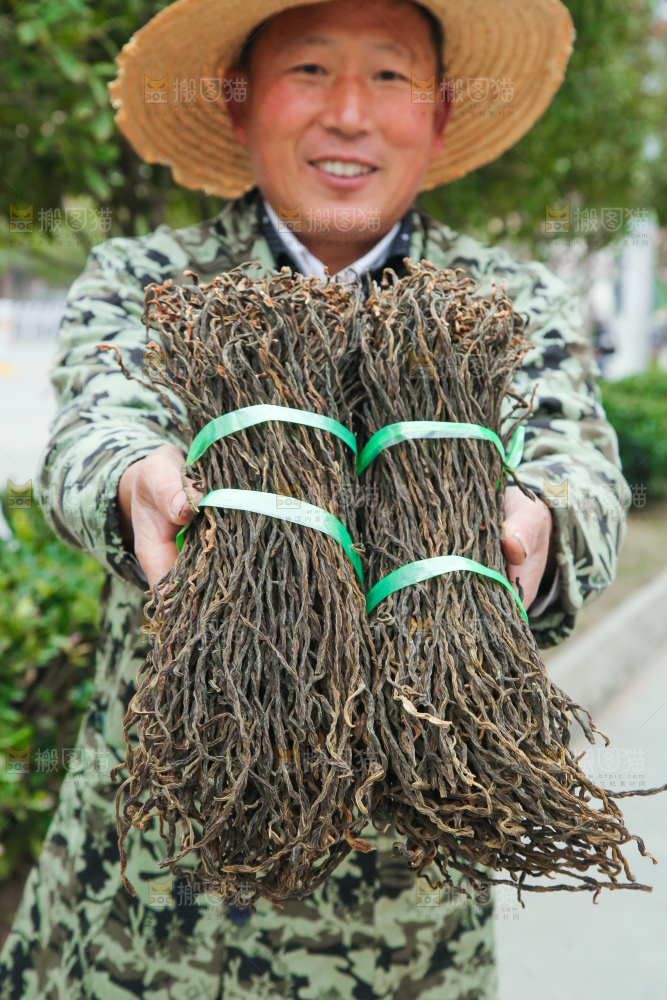 手里拿着干豆角