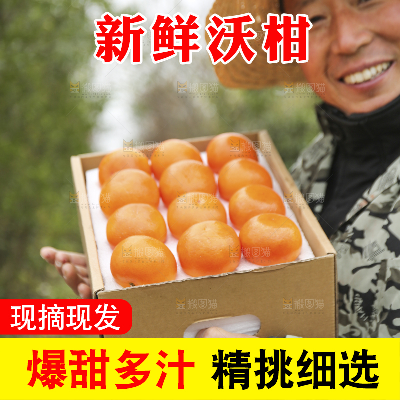 手里拿着沃柑