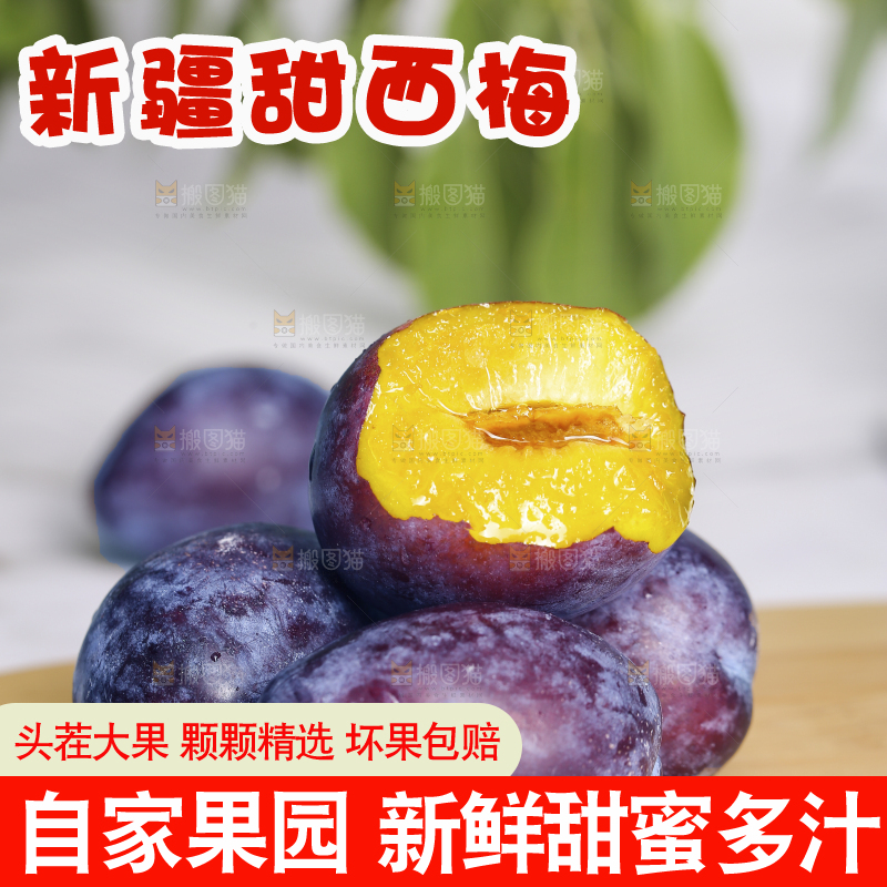 浅底上的西梅