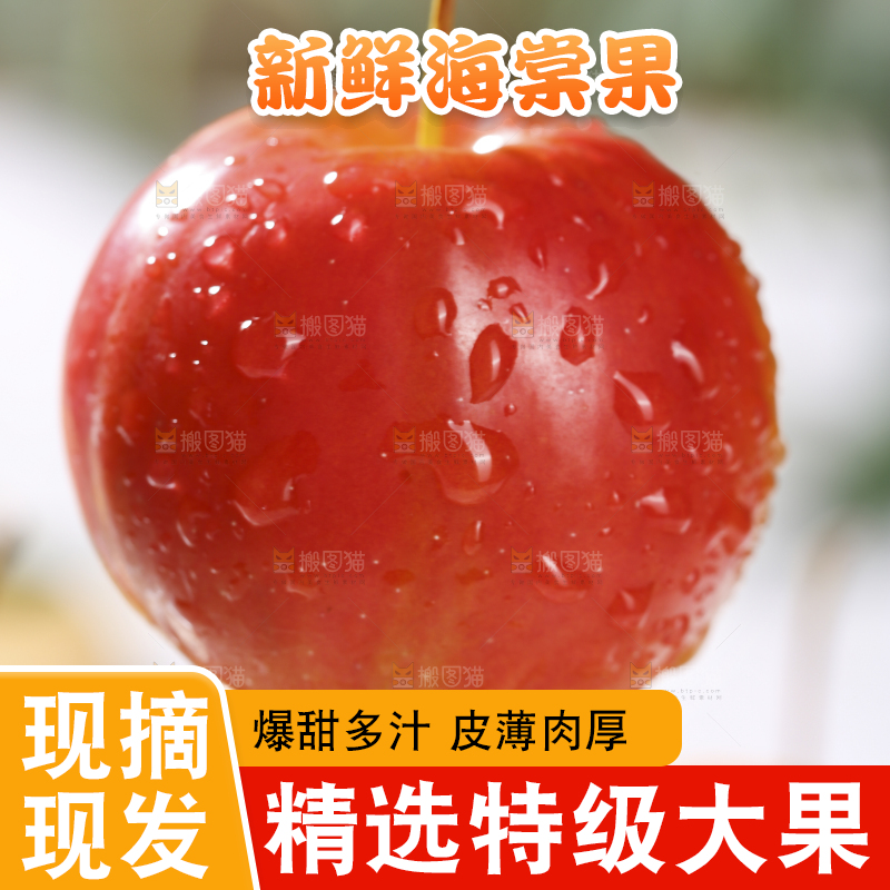 浅底上的海棠果