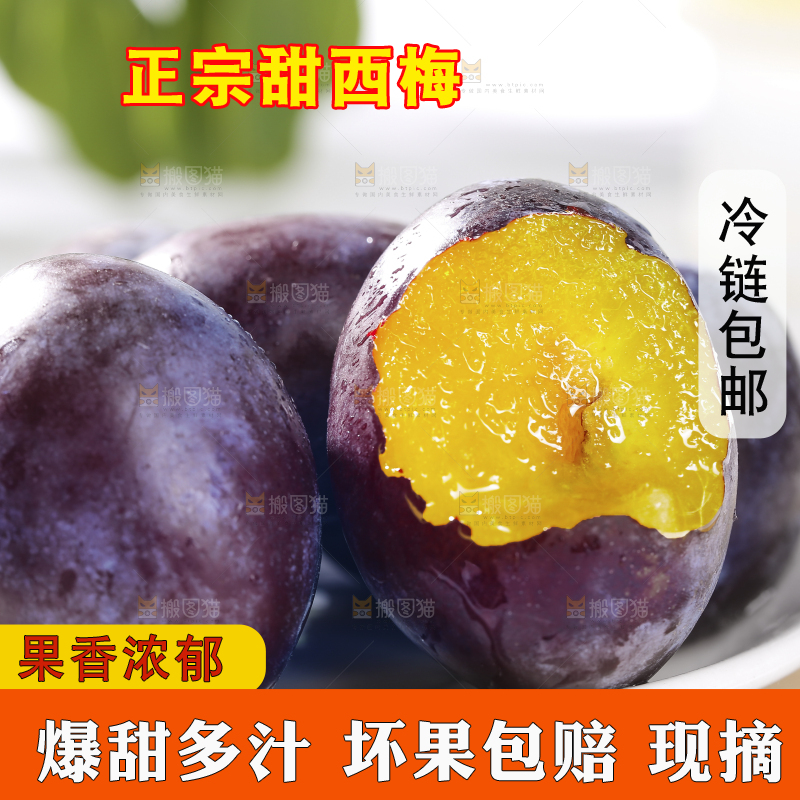 浅底上的西梅