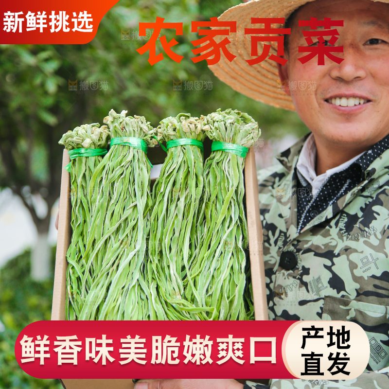 手里拿着贡菜
