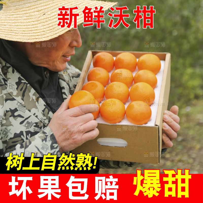 手里拿着沃柑