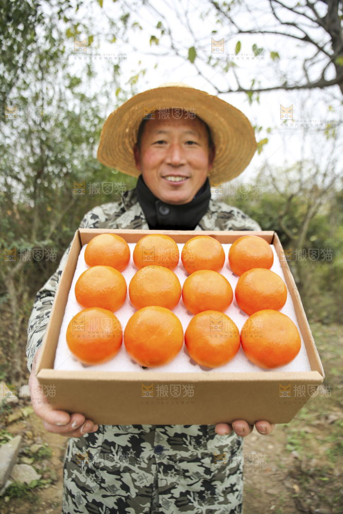 沃柑