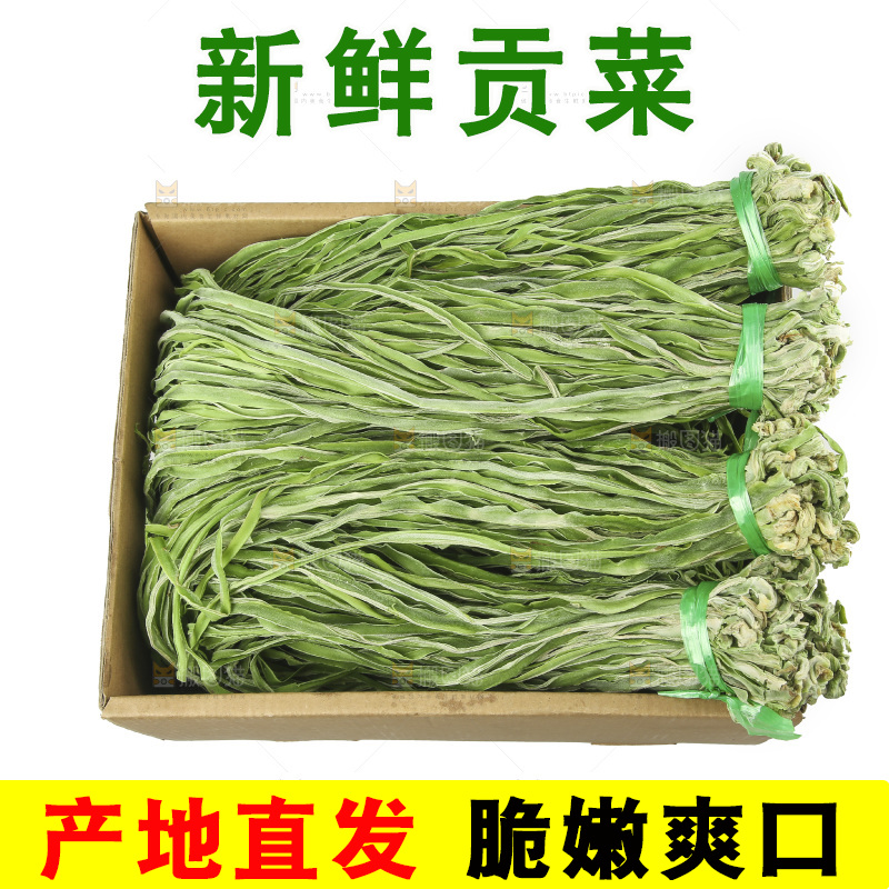 白底上的贡菜
