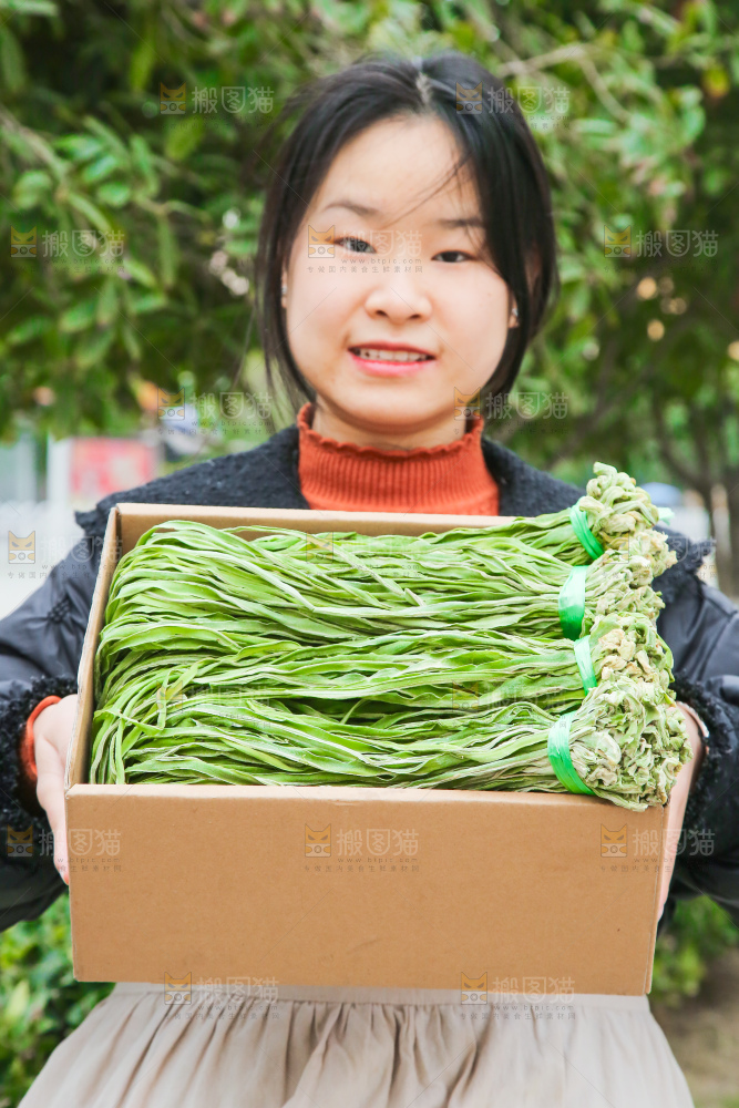 贡菜
