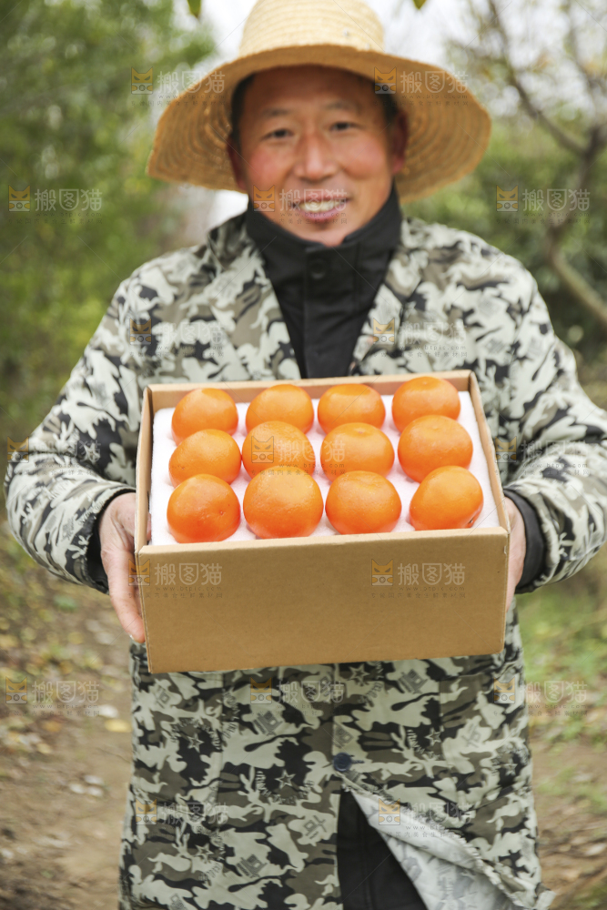 手里拿着沃柑