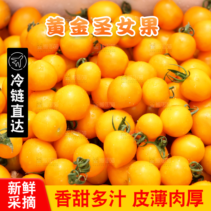 大片黄金圣女果
