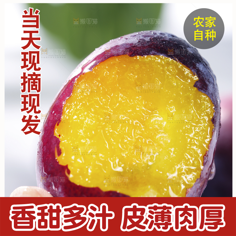 浅底上的西梅
