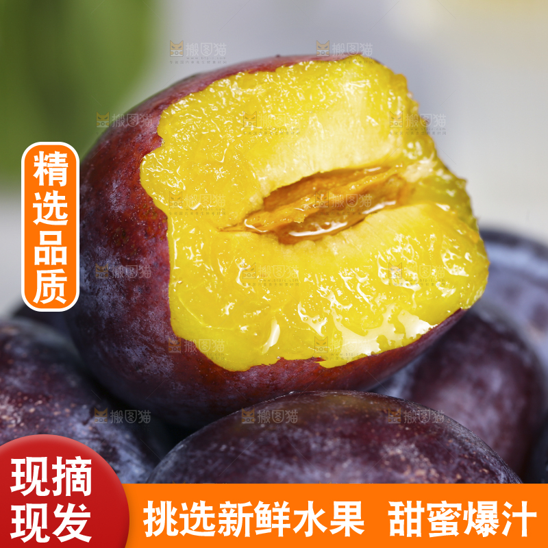 浅底上的西梅