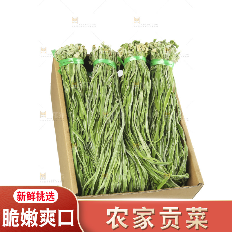 白底上的贡菜