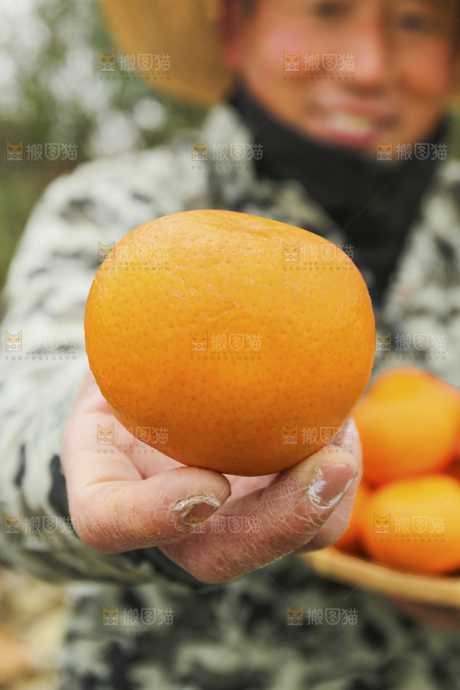 手里拿着沃柑