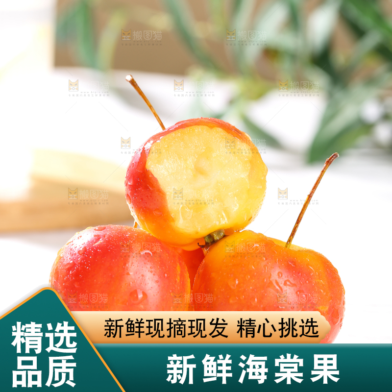 浅底上的海棠果