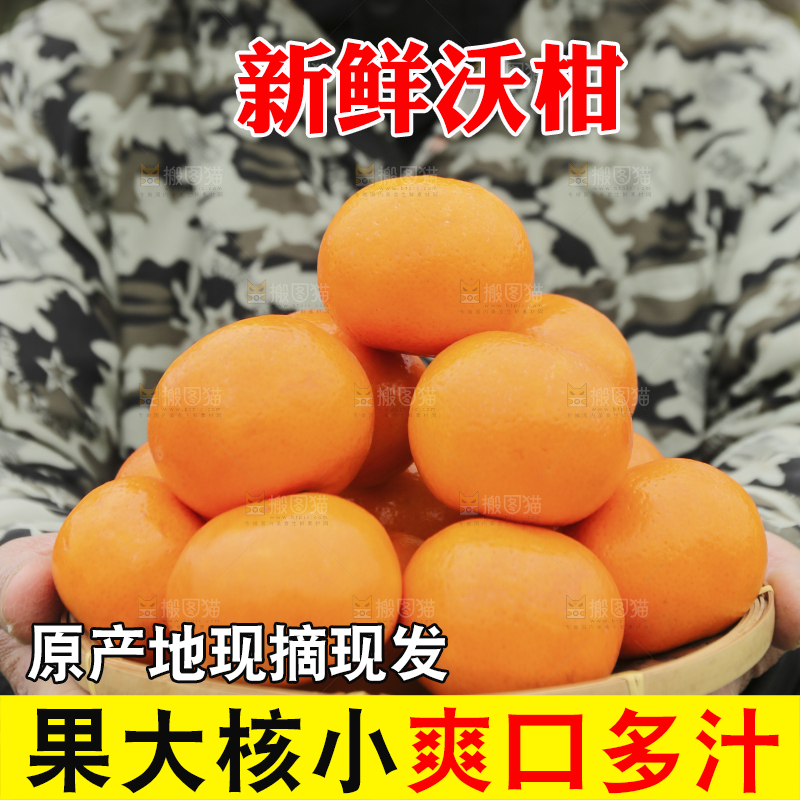 手里拿着沃柑