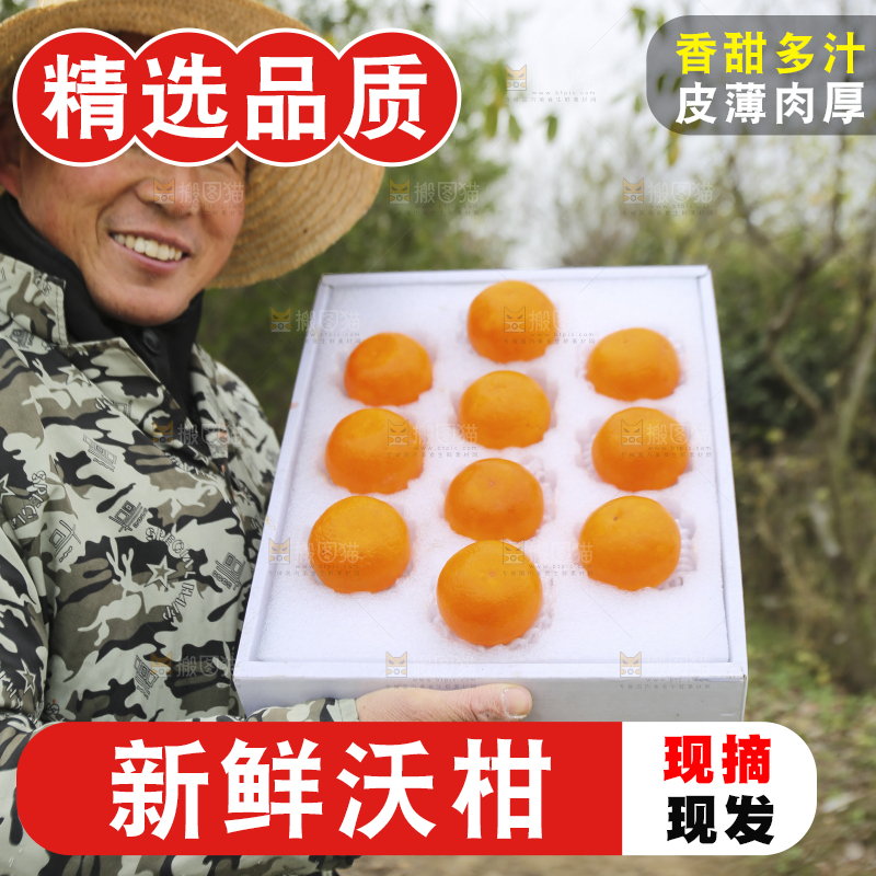 手里拿着沃柑