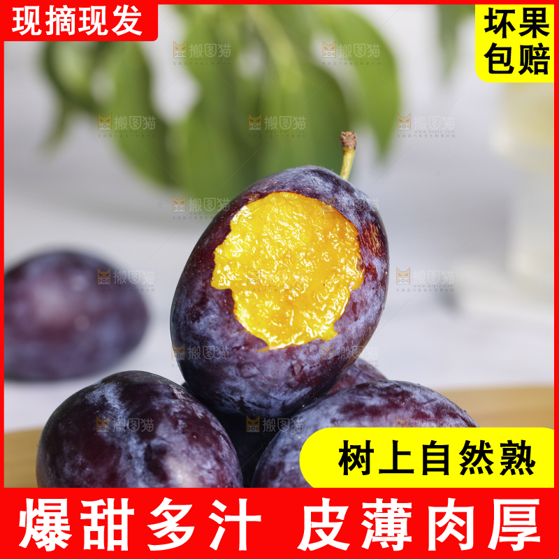 浅底上的西梅