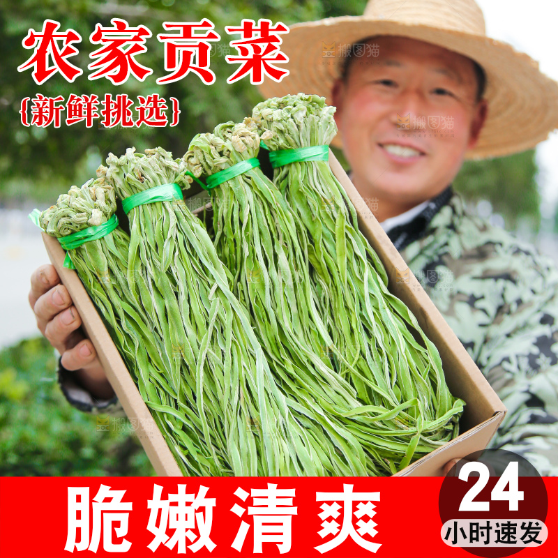 手里拿着贡菜