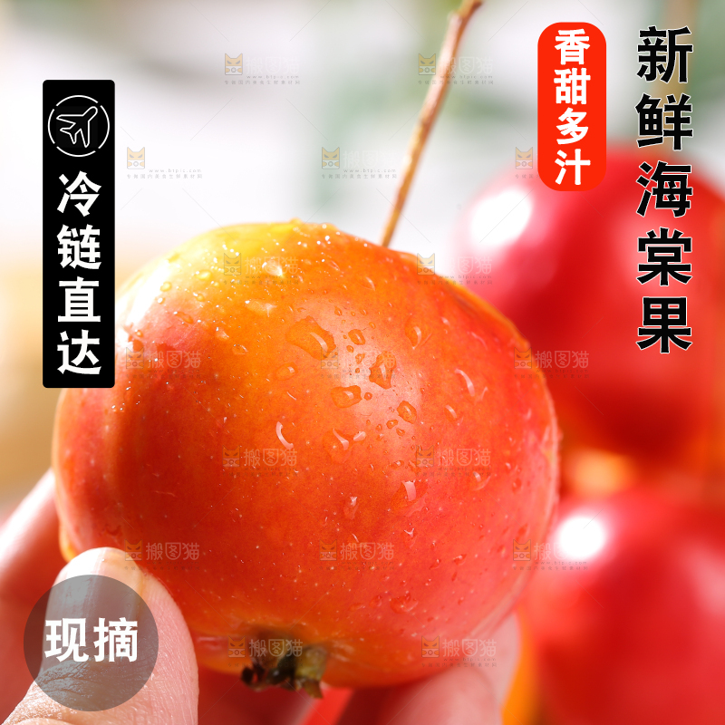 浅底上的海棠果