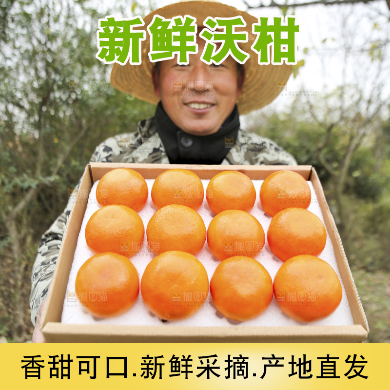 手里拿着沃柑