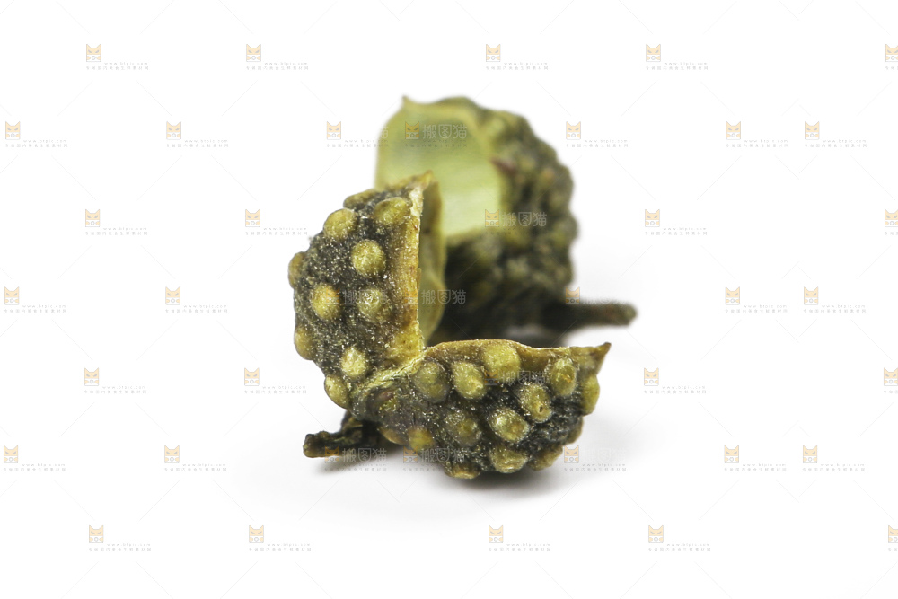 白底上的藤椒